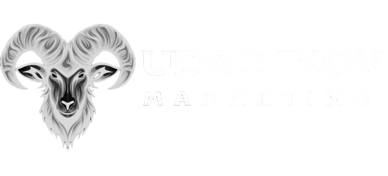 Udadinov LLC